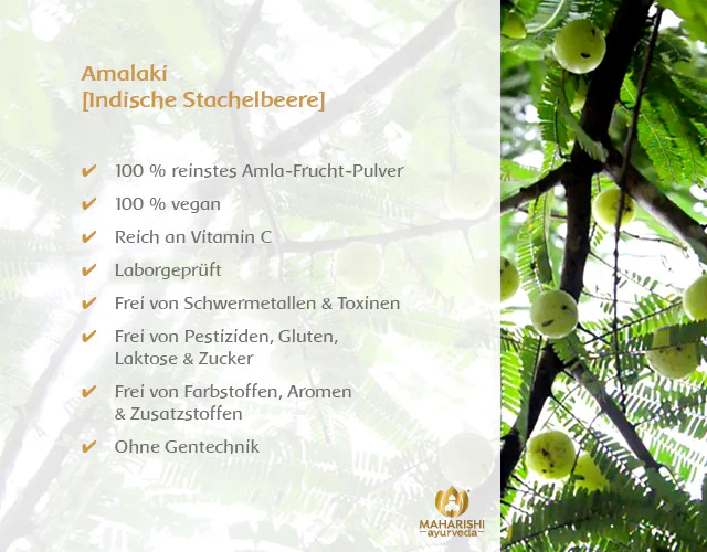 Amalaki Natural Super Herb – Amalaki Nahrungsergänzung, Ayurveda Kräuter - Image 4