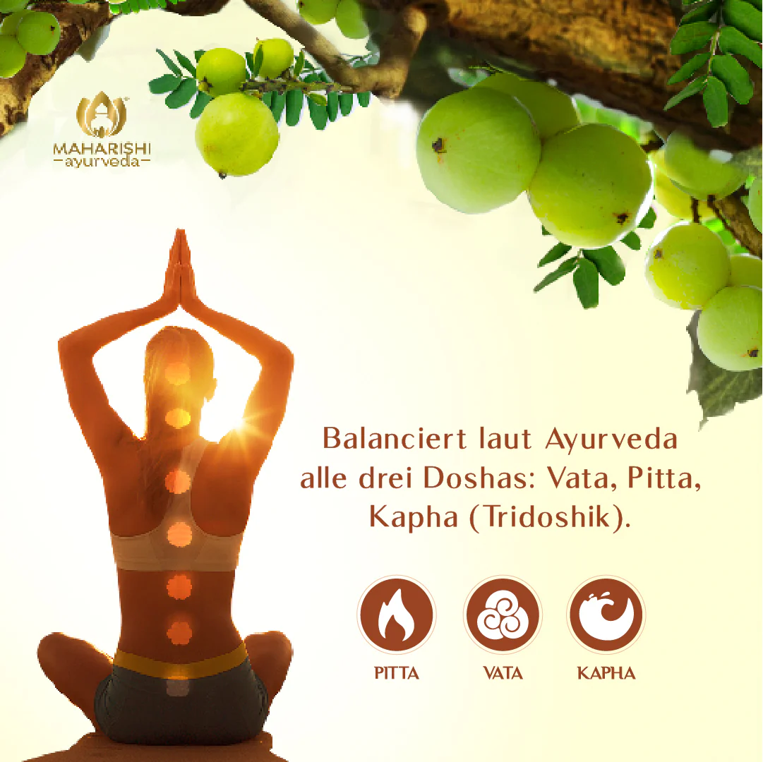 Amalaki Natural Super Herb – Amalaki Nahrungsergänzung, Ayurveda Kräuter - Image 9