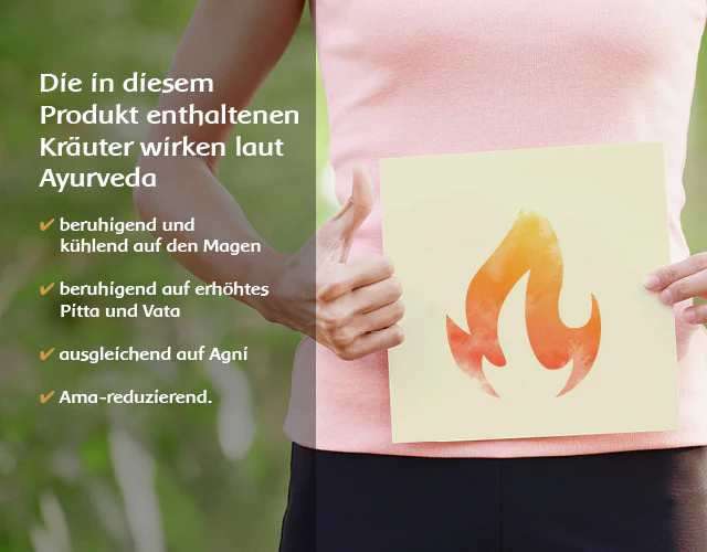 AyurAci-Balance MA 575 – Ayurveda Nahrungsergänzung mit Kräutern - Image 3