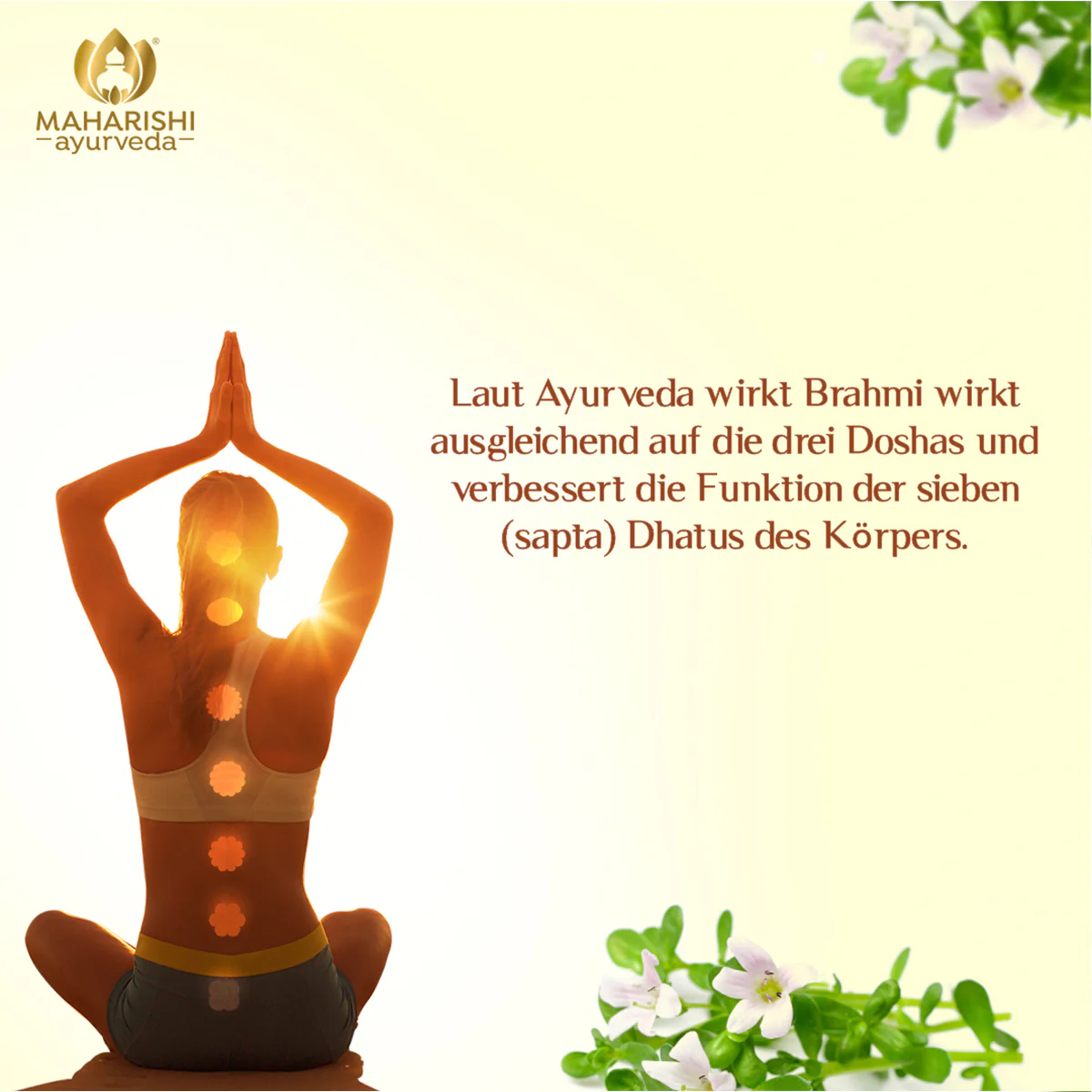 Brahmi Bio Super Herb - Image 4