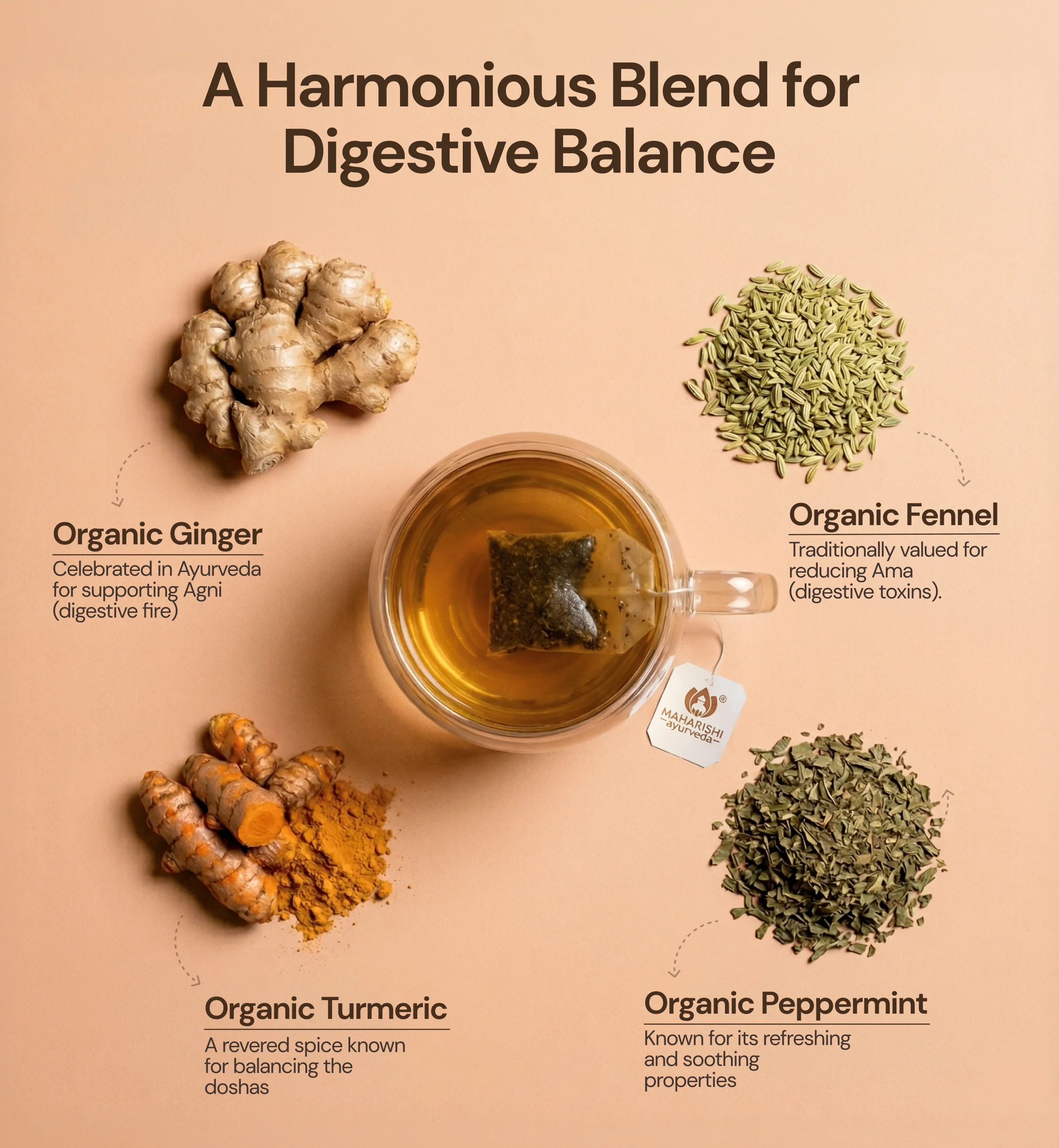 Organic Digestive Balance Tea - Image 3