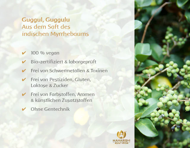 Guggul Natural Super Herb – Guggul Nahrungsergänzung, Ayurveda Kräuter - Image 5