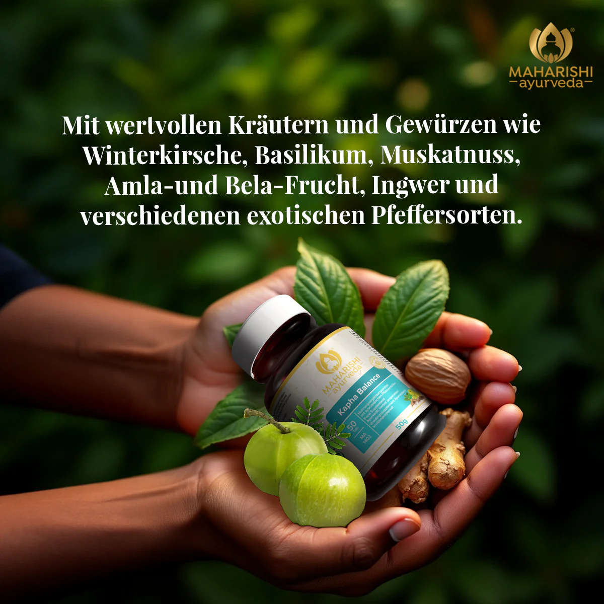 Kapha-Balance MA 1402 â Ayurveda NahrungsergĂ€nzung mit KrĂ€utern - Image 3