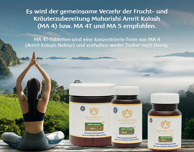Amrit Kalash MA 5 Kräutertabletten – Ayurveda Nahrungsergänzung mit Kräutern - Image 5