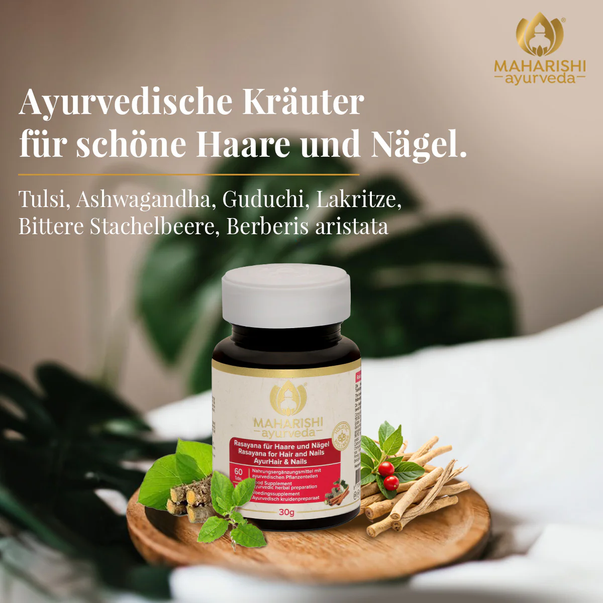 Rasayana für Haare und Nägel MA 953 – Ayurveda Nahrungsergänzung - Image 3
